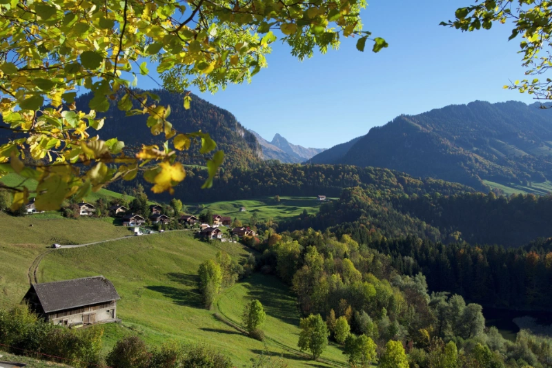 Environnement